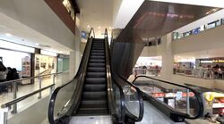 Lucky Plaza (D9), Shop House #628803531